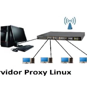 Servidor Proxy Linux